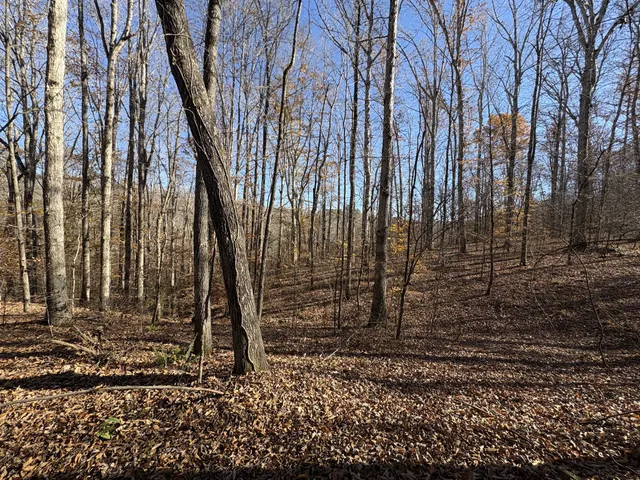 $1,100,000 | 298 Leonard Jackson Road, Waynesboro, TN 38485