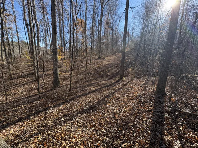 $1,100,000 | 298 Leonard Jackson Road, Waynesboro, TN 38485