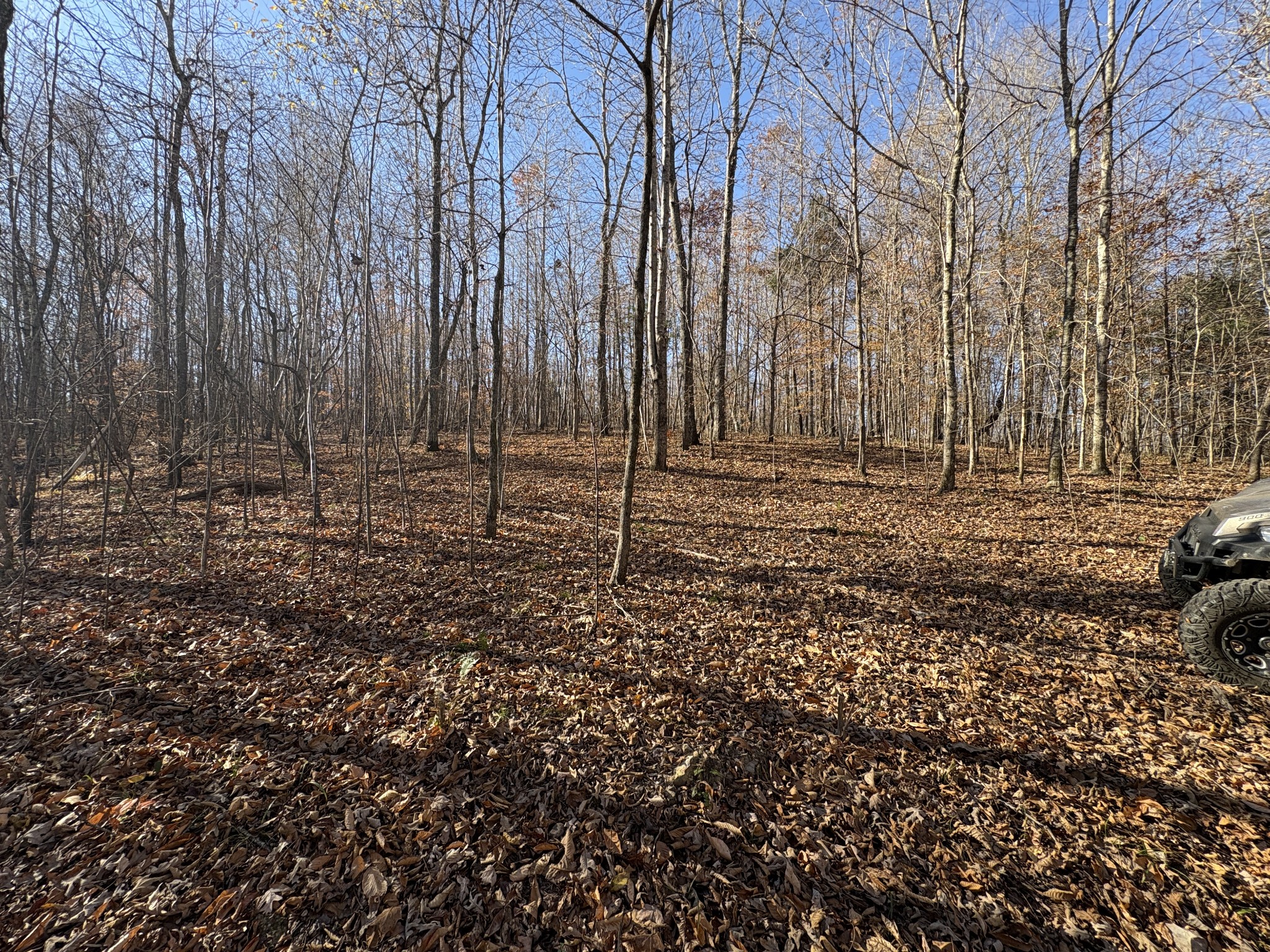 298 Leonard Jackson Road Waynesboro, TN 38485 - Photo 95 of 100