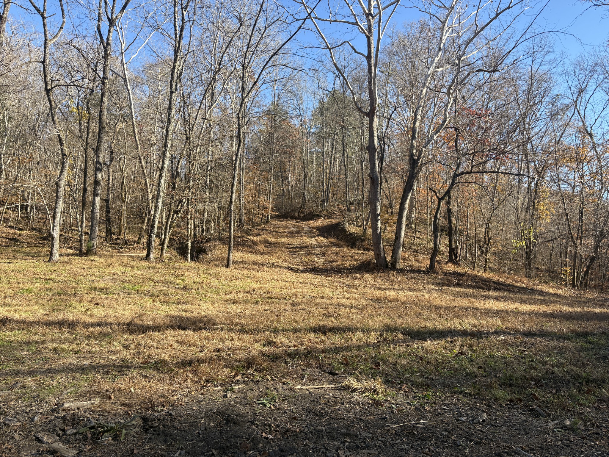 298 Leonard Jackson Road Waynesboro, TN 38485 - Photo 97 of 100 a backyard of a house with lots of green space