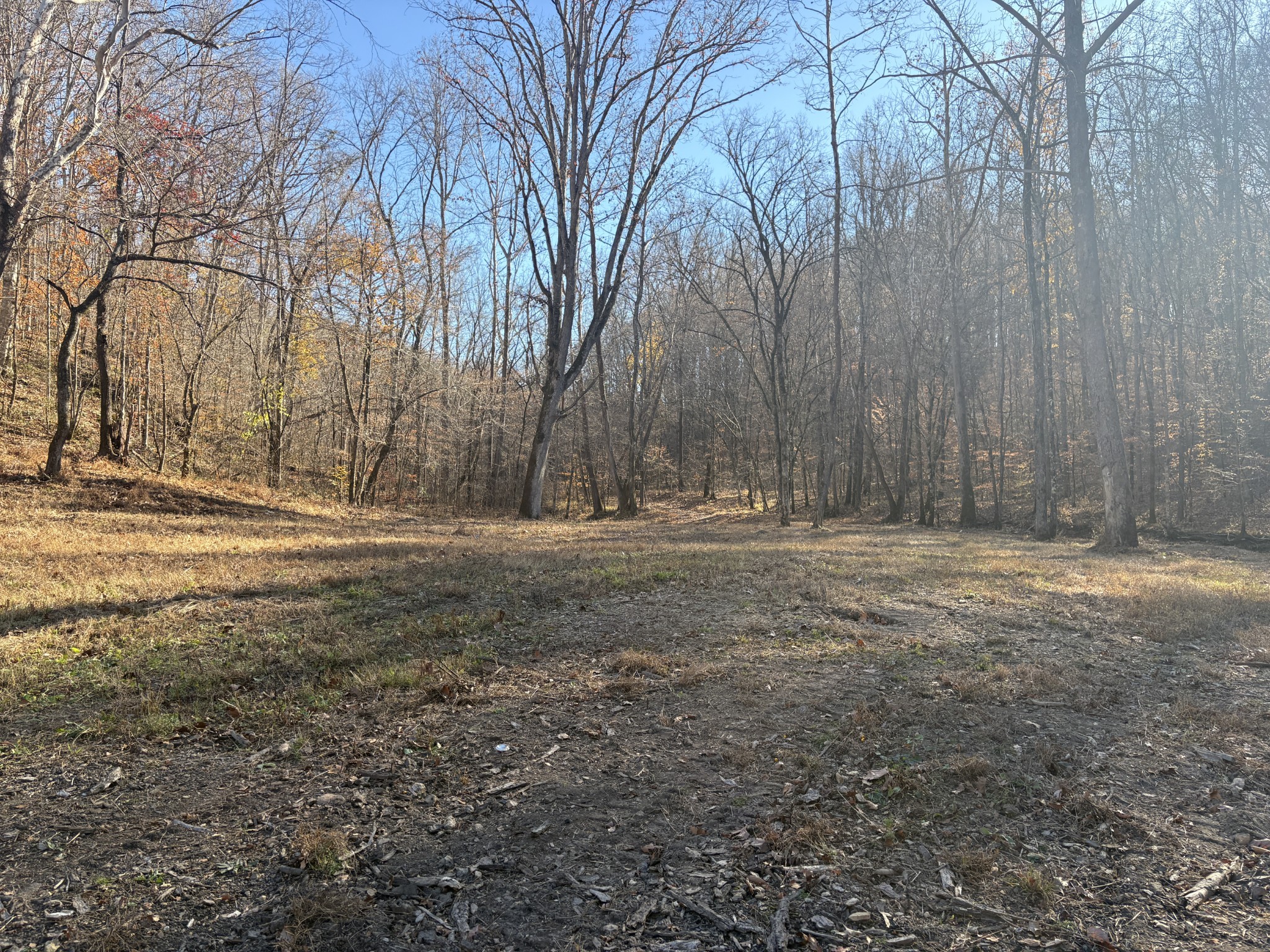298 Leonard Jackson Road Waynesboro, TN 38485 - Photo 98 of 100