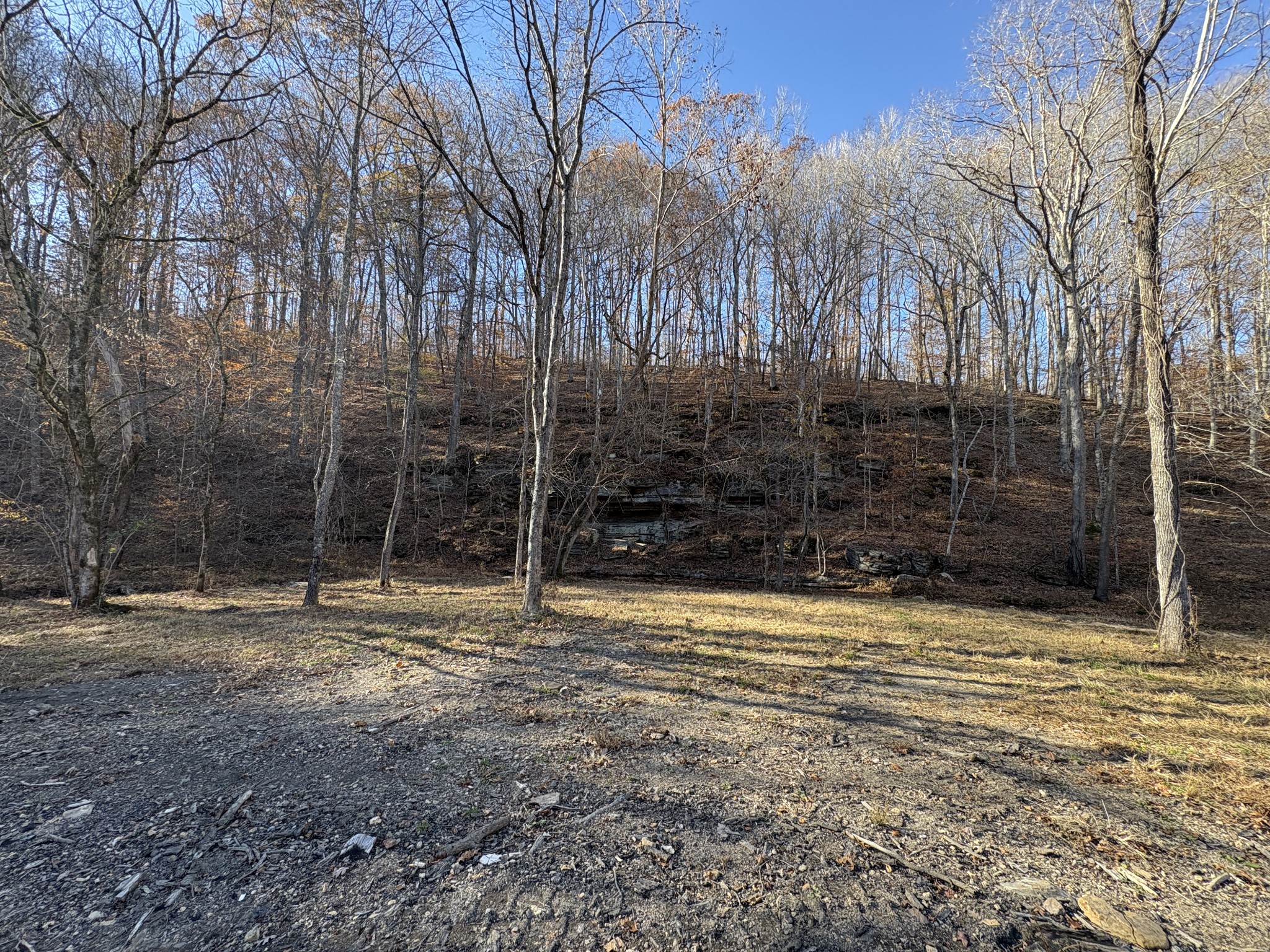 298 Leonard Jackson Road Waynesboro, TN 38485 - Photo 99 of 100 a view of outdoor space with trees