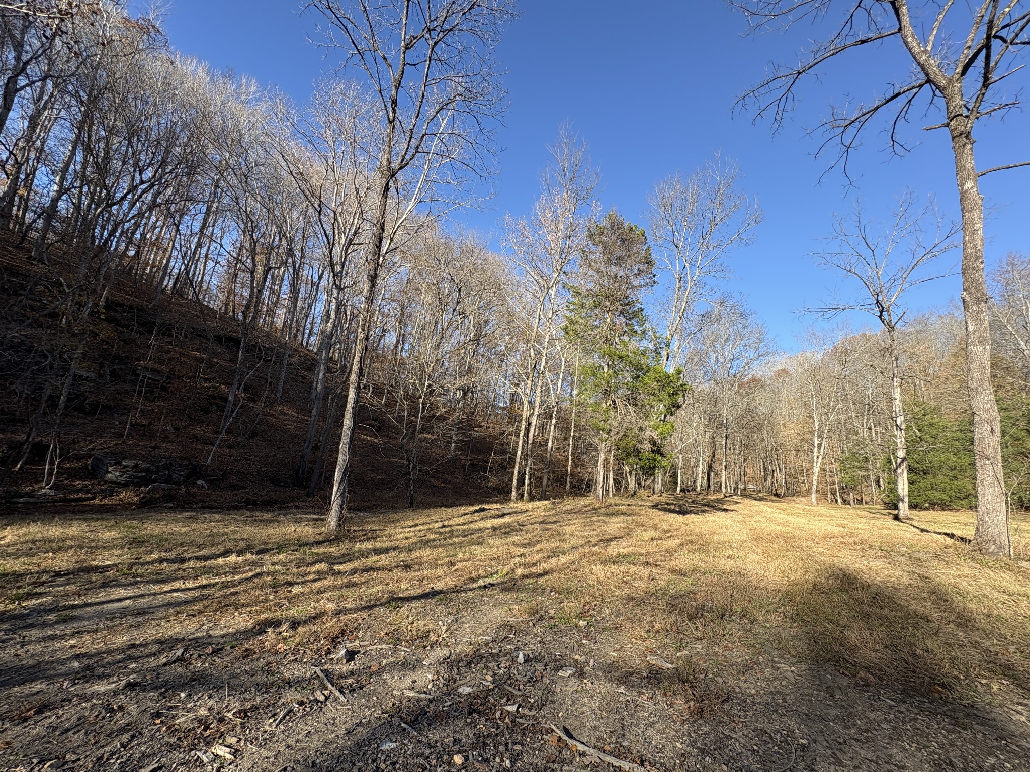298 Leonard Jackson Road Waynesboro, TN 38485 - Photo 100 of 100