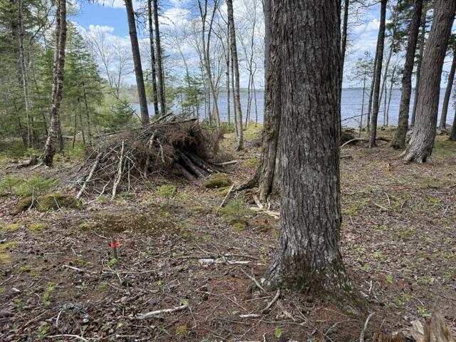 Lot12-part Indian Trail Road East Machias, ME 04630 - Photo 27 of 34 IMG_9894