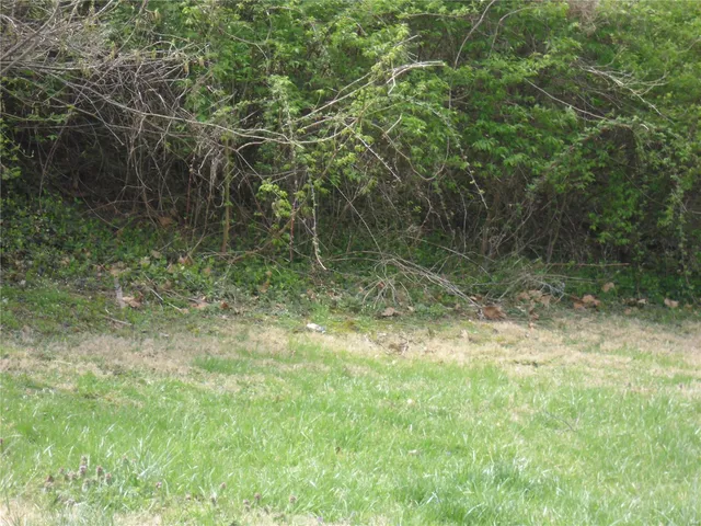 $7,000 | 100 South 98th Street, St. Louis, MO 63103