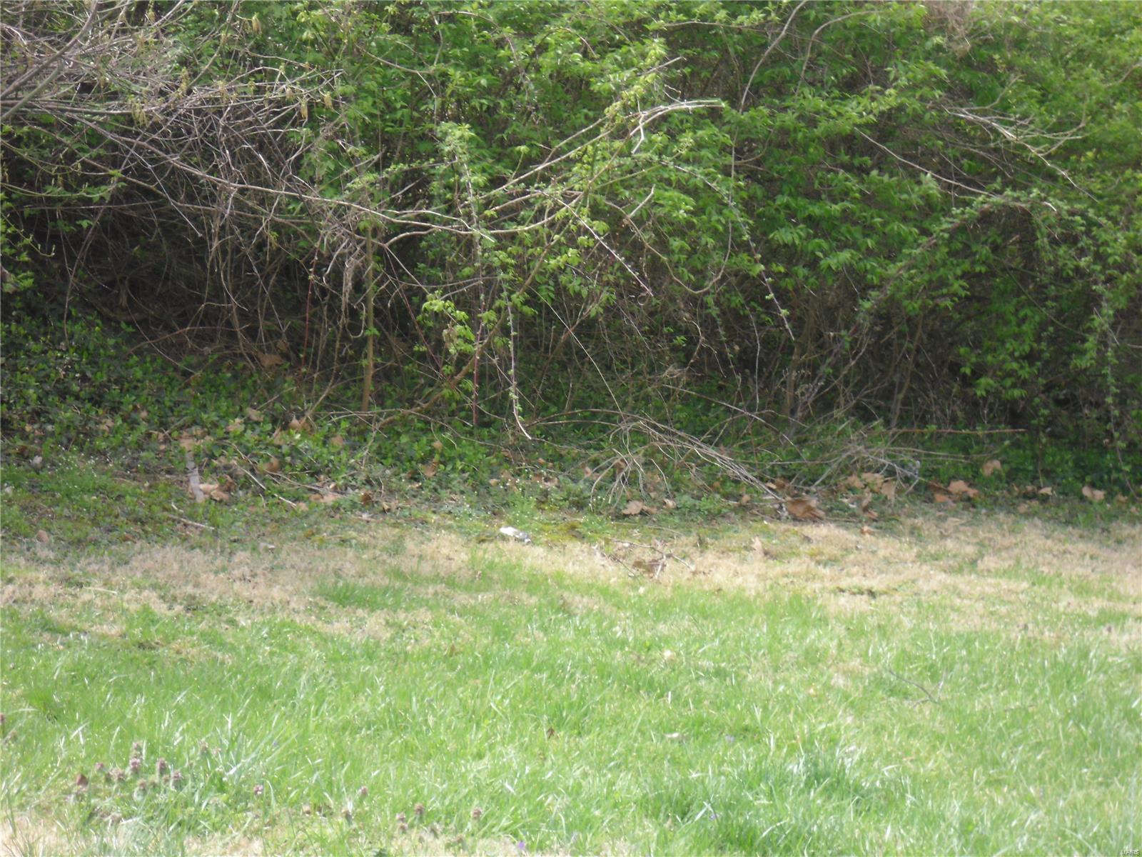 100 South 98th Street St. Louis, MO 63103 - Photo 2 of 6