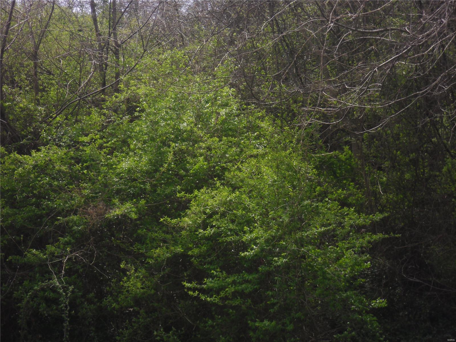 100 South 98th Street St. Louis, MO 63103 - Photo 4 of 6