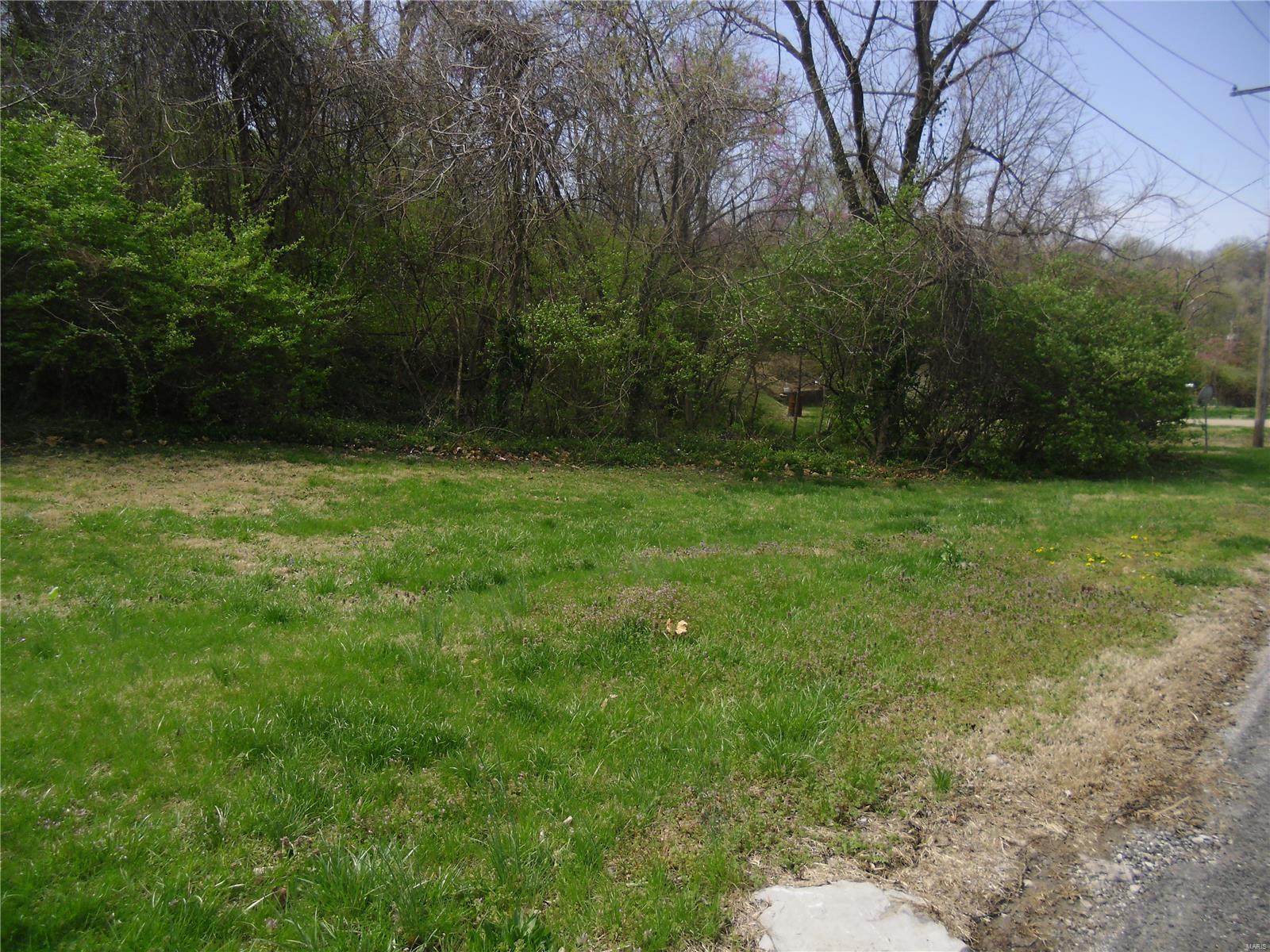 100 South 98th Street St. Louis, MO 63103 - Photo 5 of 6