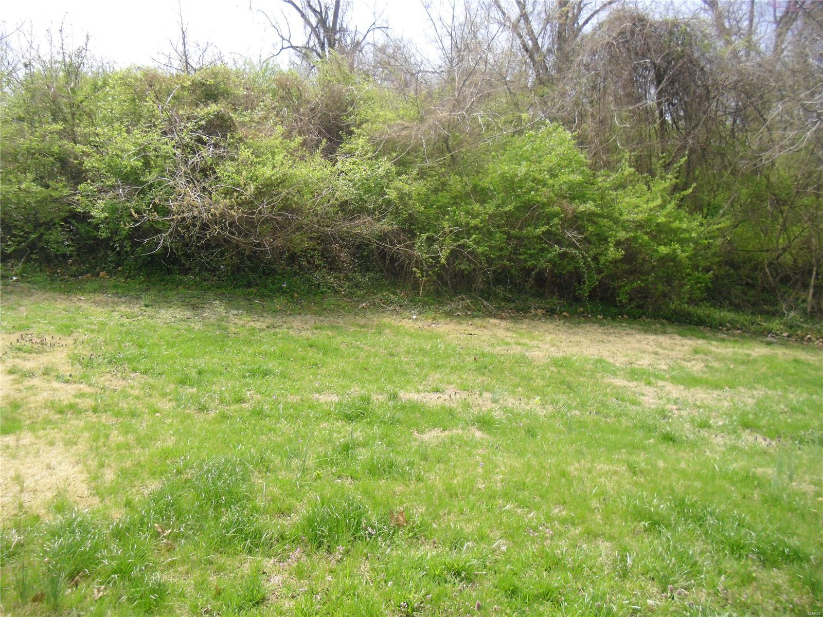 100 South 98th Street St. Louis, MO 63103 - Photo 6 of 6