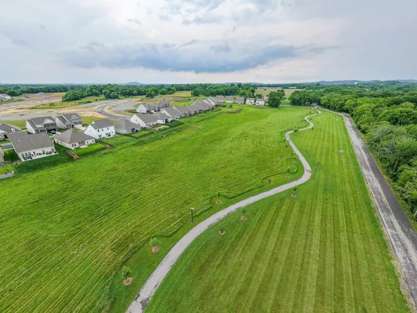 an aerial view of a residential houses with outdoor space and trees