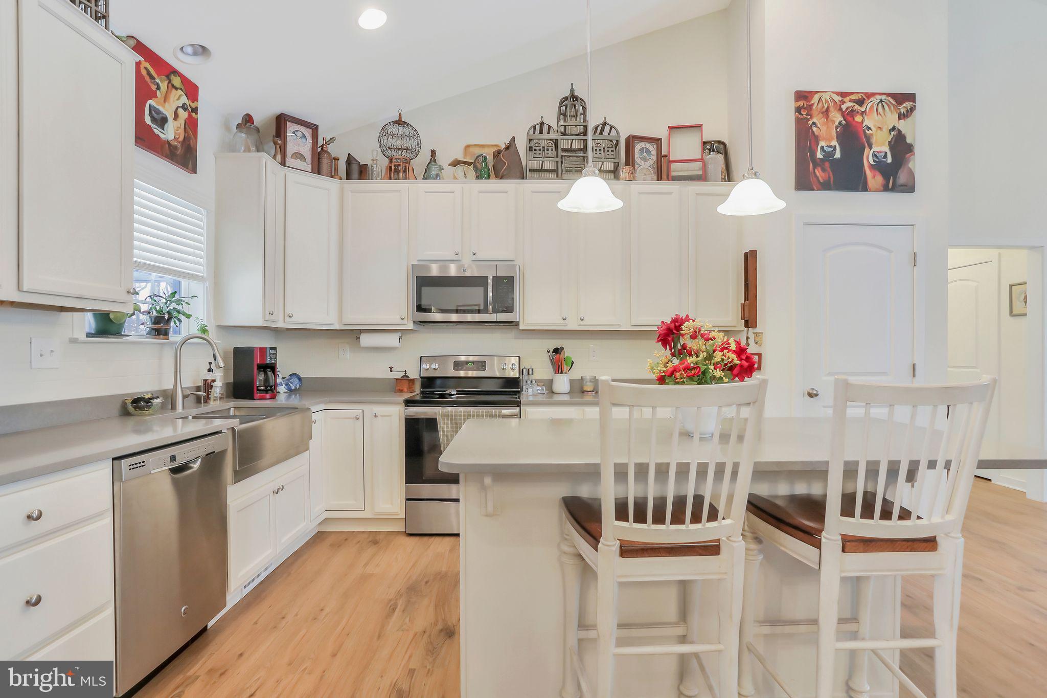 45 Rivanna Run Falling Waters, WV 25419 - Photo 11 of 46 Kitchen