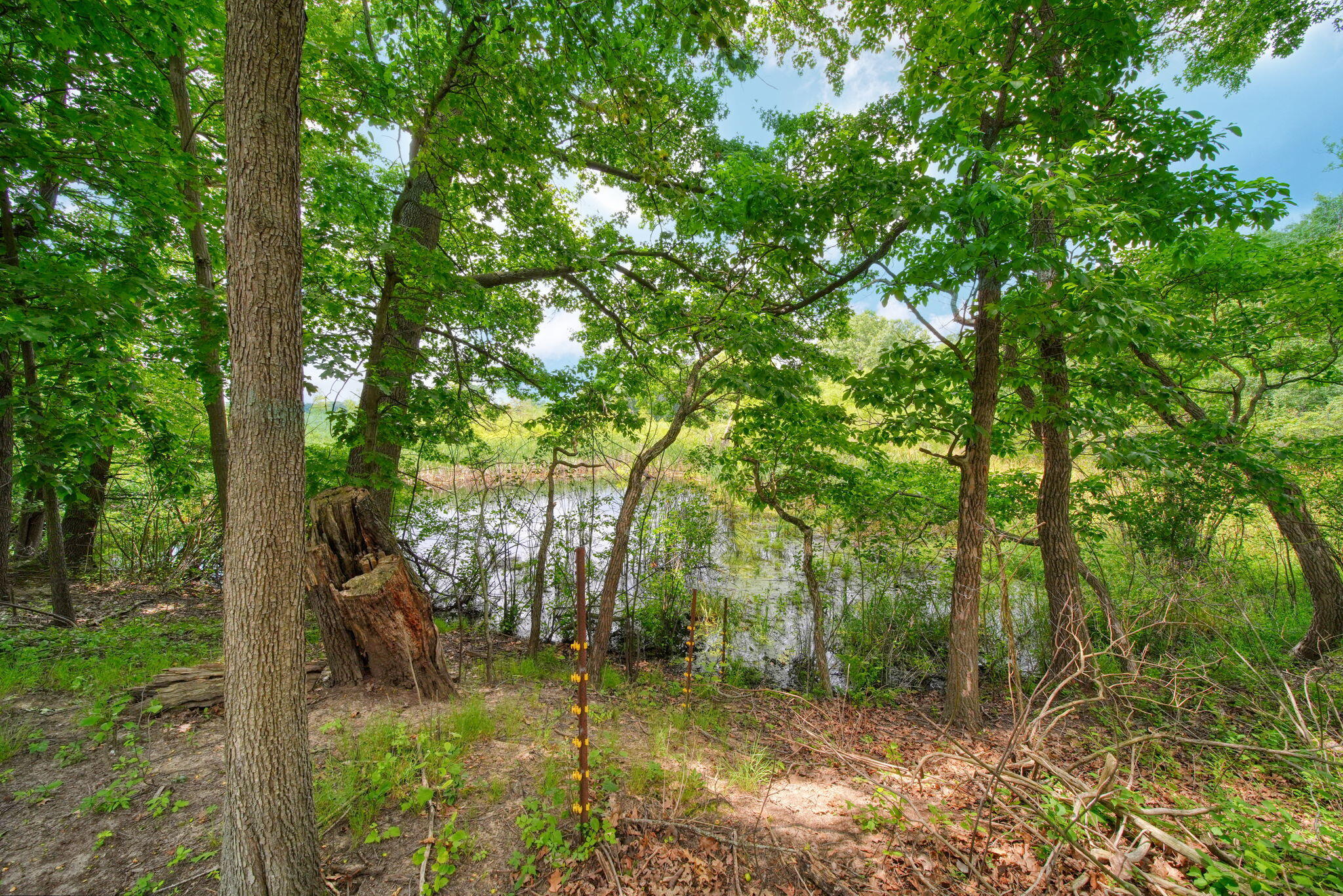 3930 Hoyer Road Jackson, MI 49201 - Photo 38 of 53 37
