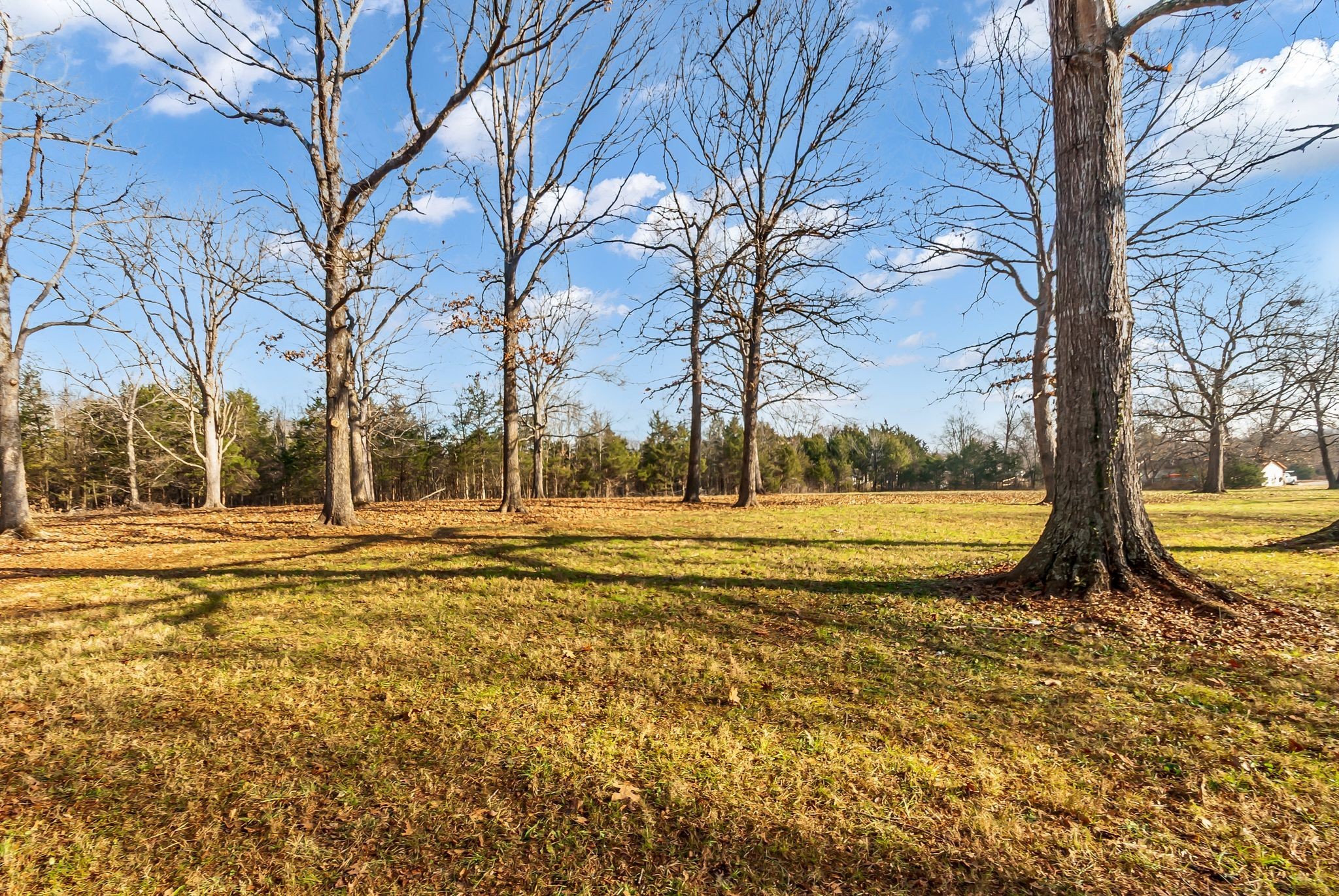 1005 Boyd Street Belfast, TN 37019 - Photo 25 of 28