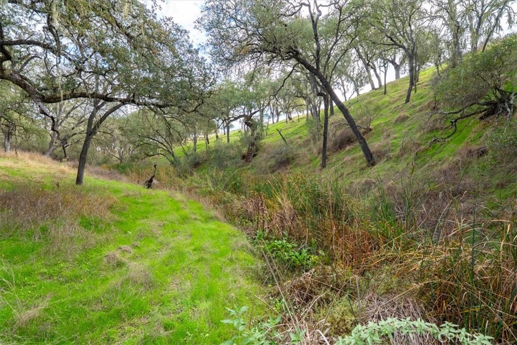 1505 Barley Grain Road Paso Robles, CA 93446 - Photo 44 of 56 Beaver Creek runs through the back of the property