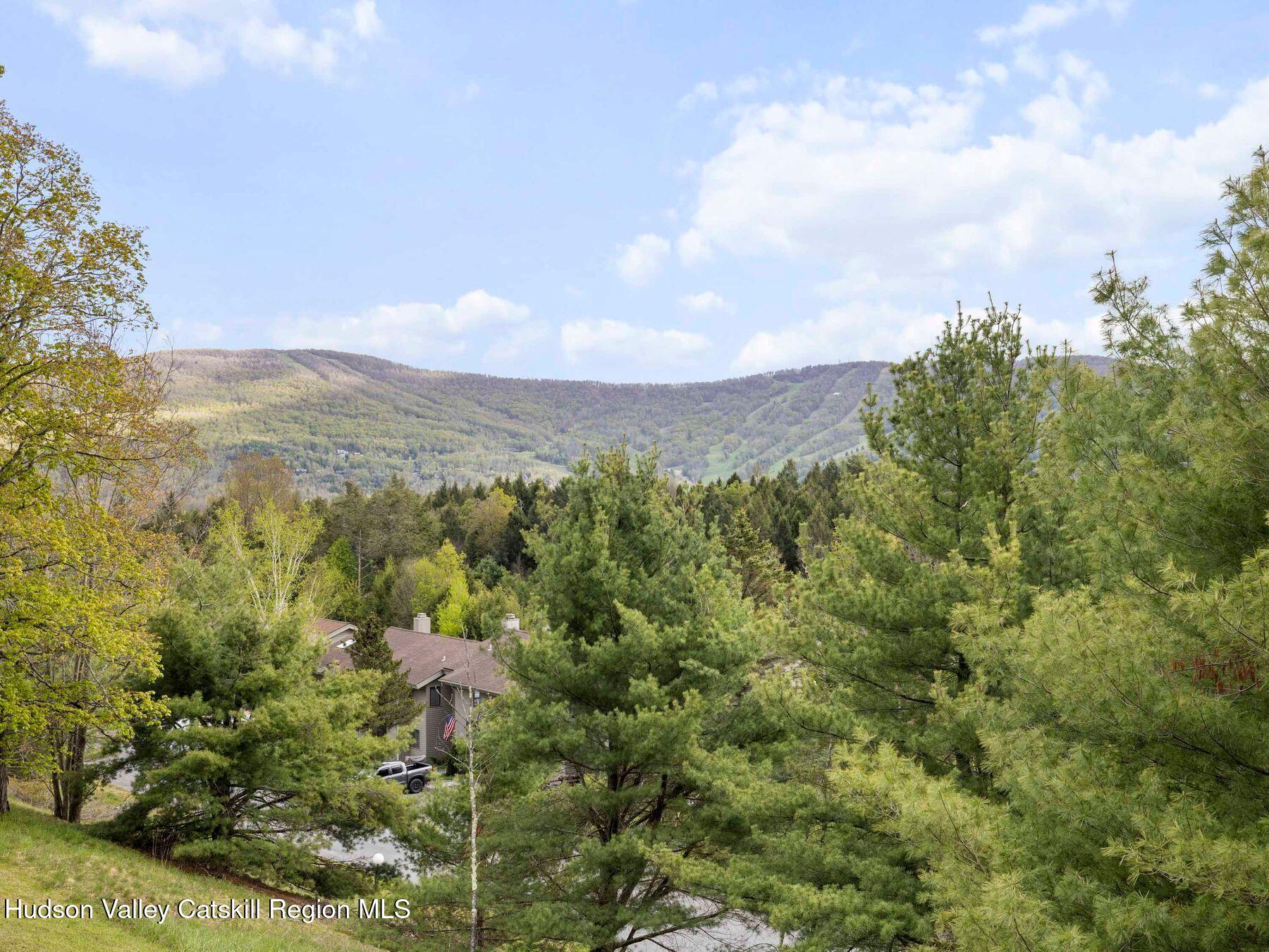 55 Windham Ridge Road, Unit 15H Windham, NY 12496 - Photo 31 of 34 a view of a city with lush green forest