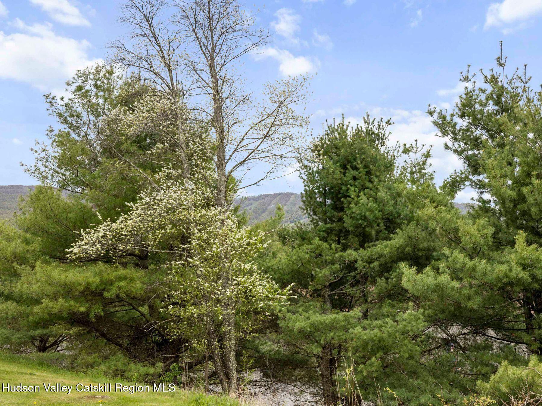 55 Windham Ridge Road, Unit 15H Windham, NY 12496 - Photo 32 of 34 a view of a garden