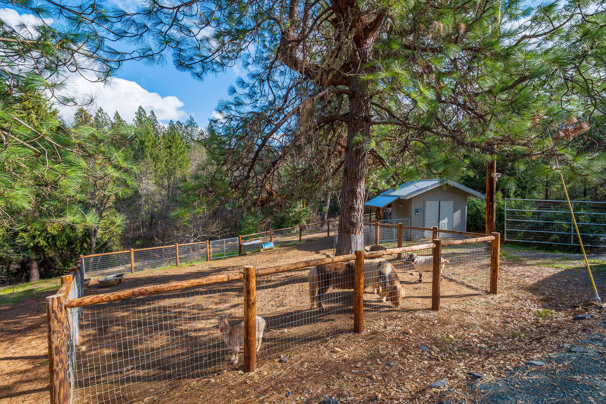 3425 Quartz Creek Road Merlin, OR 97532 - Photo 35 of 41 a view of outdoor space with seating