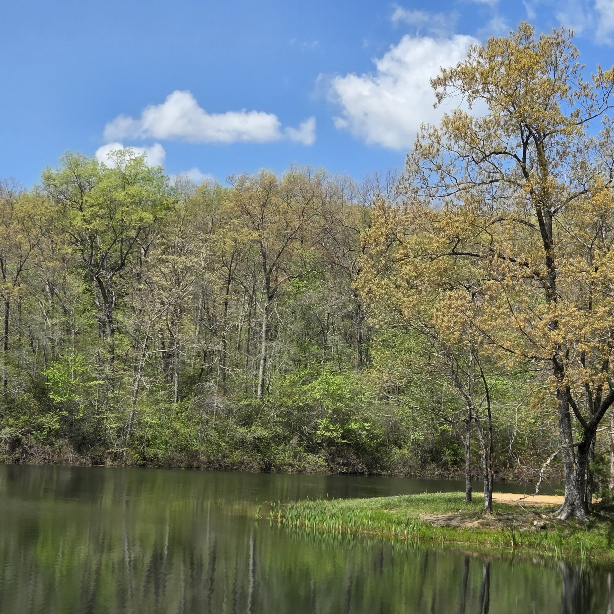 31 Chickory Lane Monteagle, TN 37356 - Photo 51 of 61 a view of a lake with houses