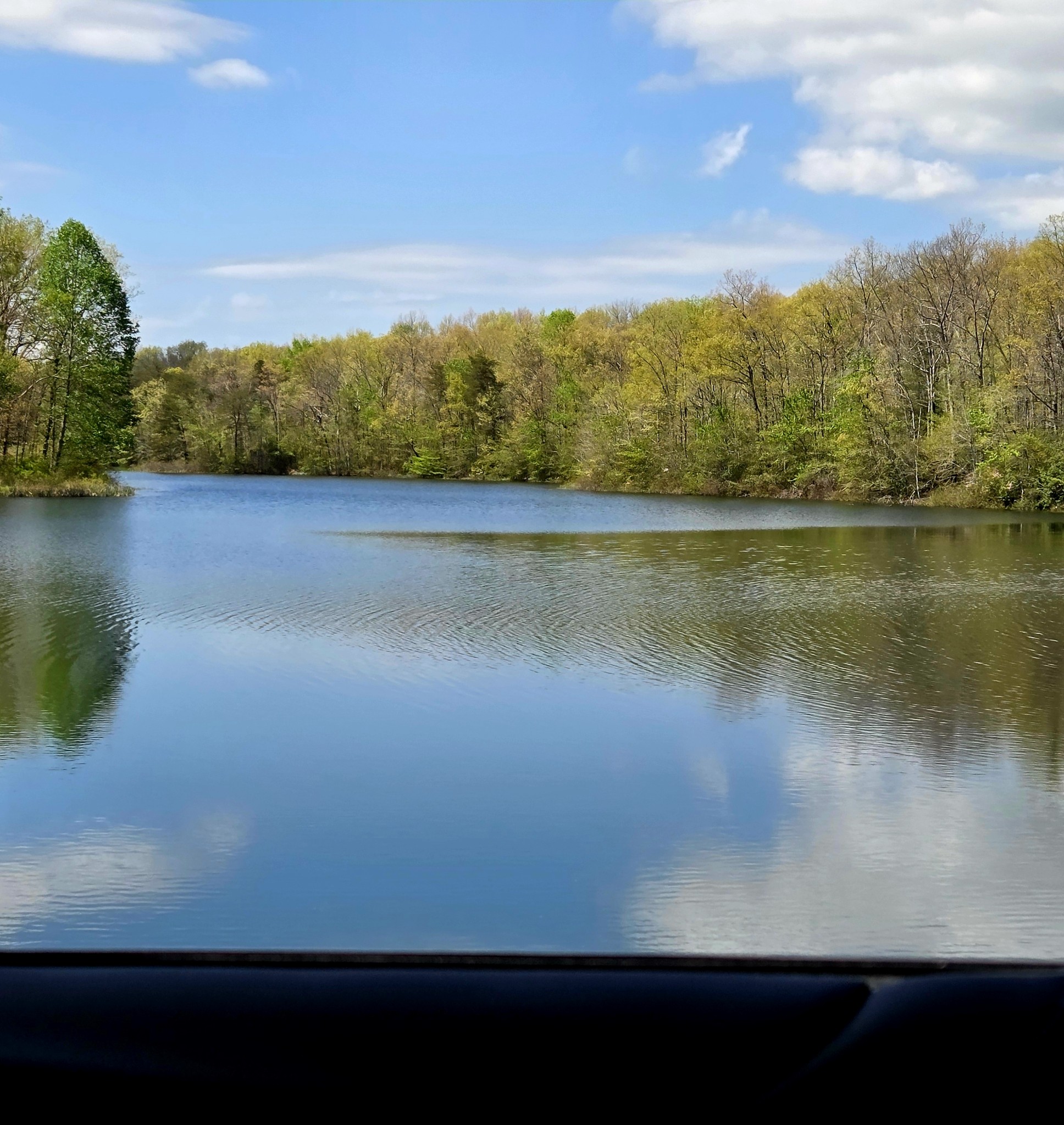 31 Chickory Lane Monteagle, TN 37356 - Photo 53 of 61 a view of lake