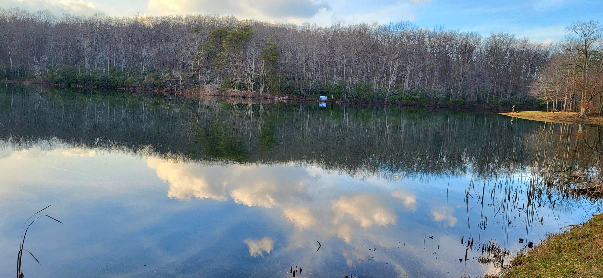 31 Chickory Lane Monteagle, TN 37356 - Photo 53 of 53 a view of a lake from a yard