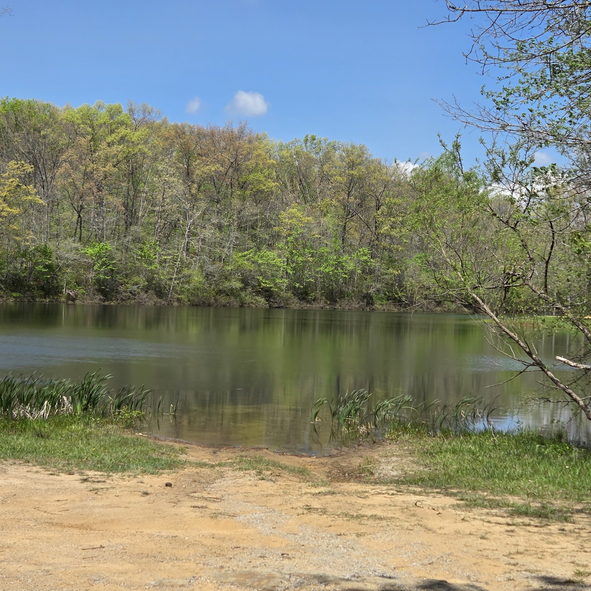 31 Chickory Lane Monteagle, TN 37356 - Photo 54 of 61 a view of a lake view with mountain