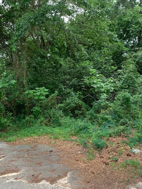 757 Maney Street Sumter, SC 29150 - Photo 5 of 5 151651_4