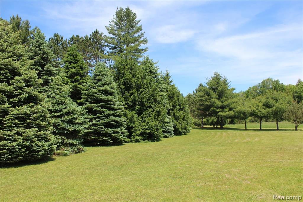 1165 East Heil Road Gladwin, MI 48624 - Photo 10 of 73