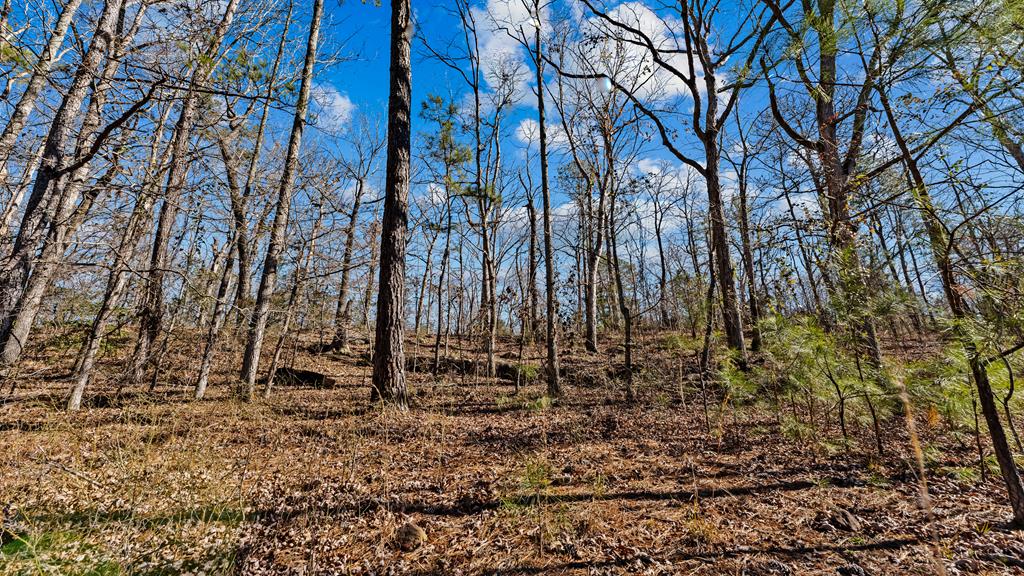 606 Herman Bell Road Mauk, GA 31058 - Photo 47 of 59 Gallery Image 47