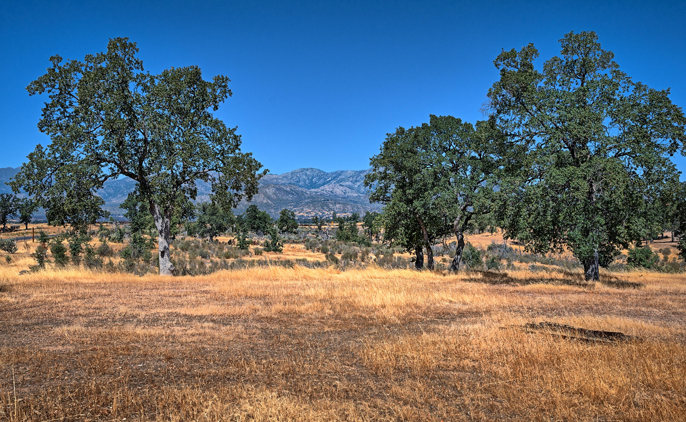 12300 Gas Point Road Igo, CA 96047 - Photo 7 of 13 gas point (107 of 48)