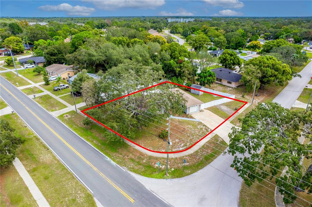 7367 Gates Circle Spring Hill, FL 34606 - Photo 30 of 31 a view of a garden with a wooden bench