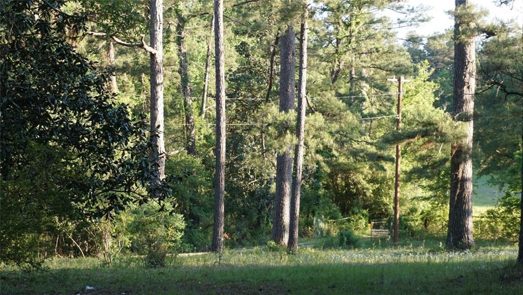 12463 Arcola Road Roseland, LA 70456 - Photo 34 of 37 Gallery Image 34