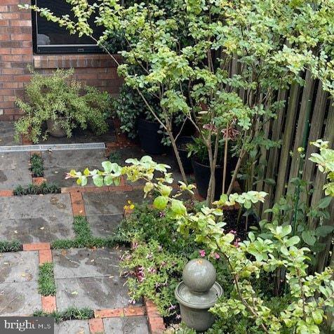 237 10th Street Southeast Washington, DC 20003 - Photo 37 of 40 a view of a plants with a fire pit