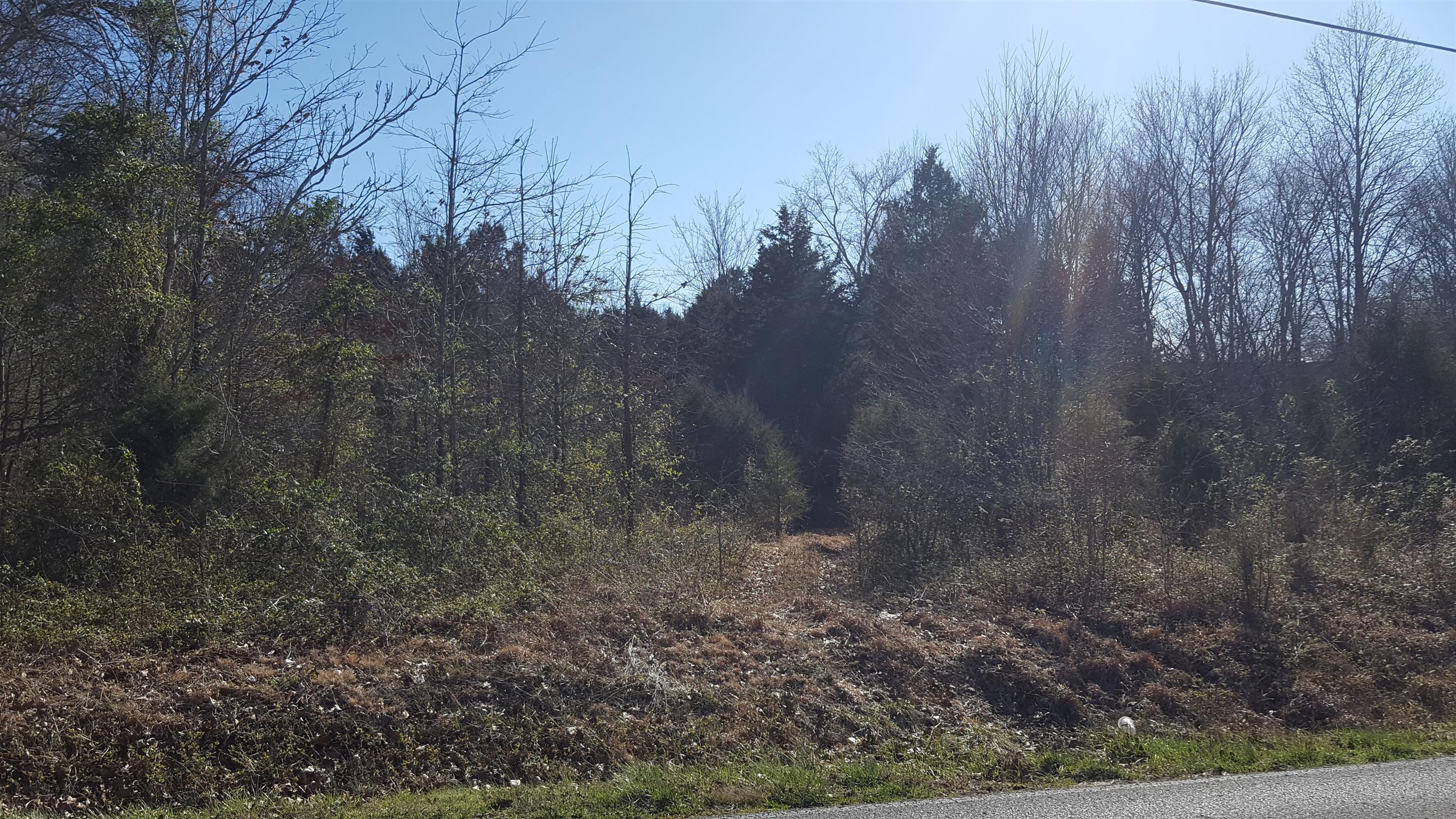 640 4 Seasons Road Smithville, TN 37166 - Photo 2 of 7 Driveway cut in.