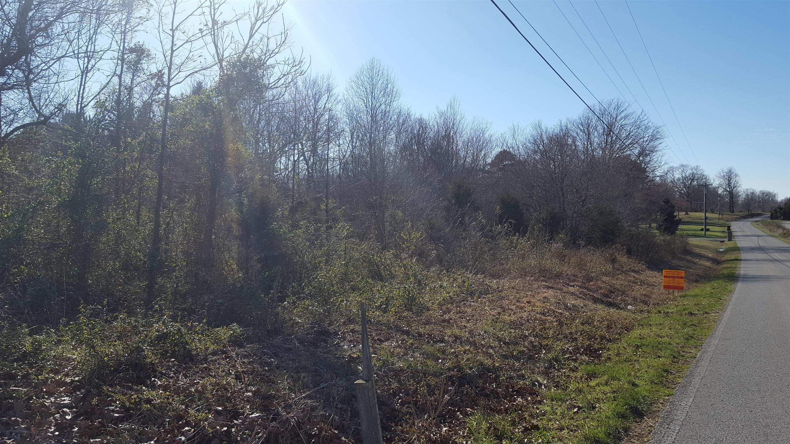 640 4 Seasons Road Smithville, TN 37166 - Photo 3 of 7 View from left side of lot from street.