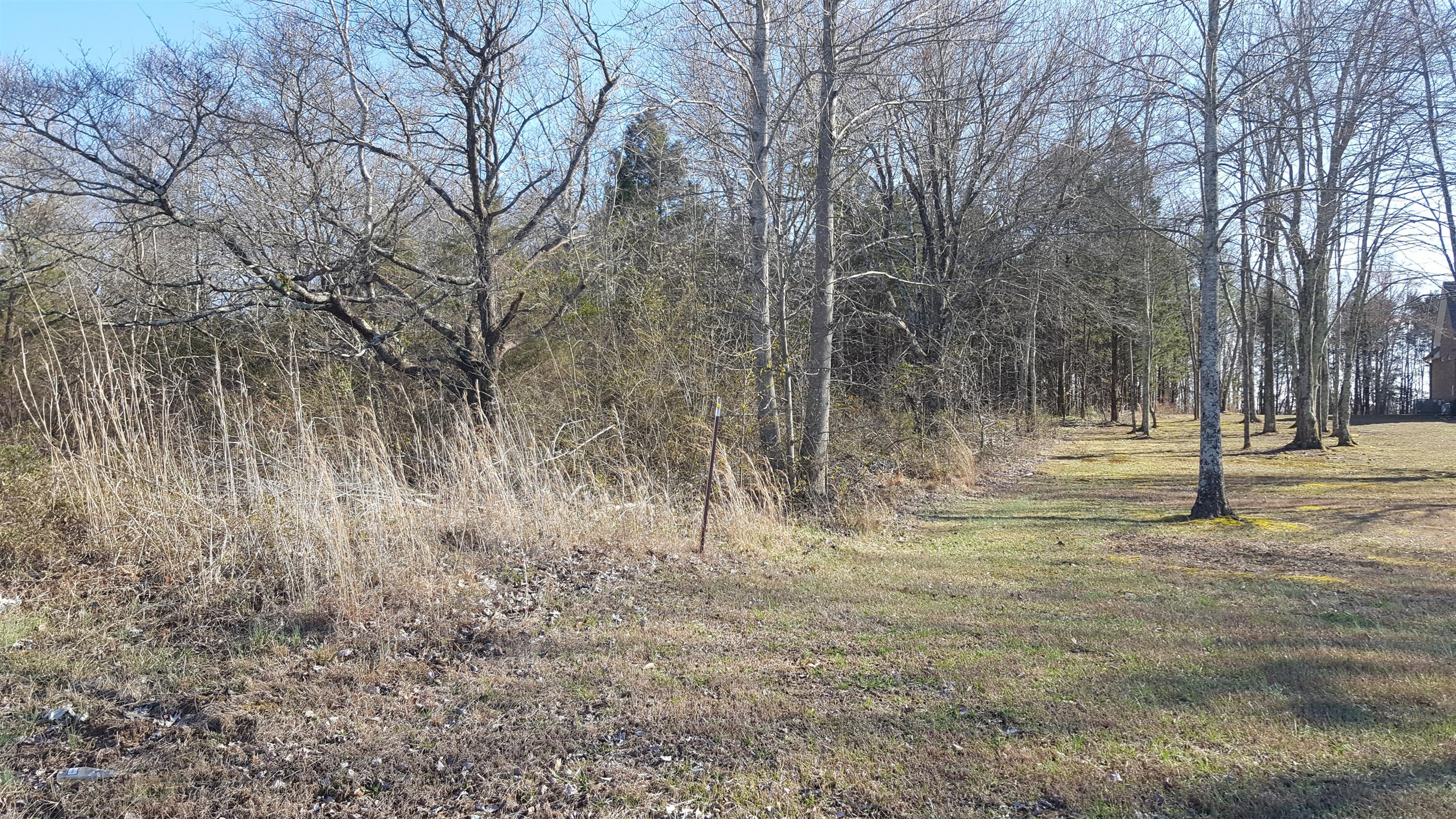 640 4 Seasons Road Smithville, TN 37166 - Photo 5 of 7 Right side of lot.