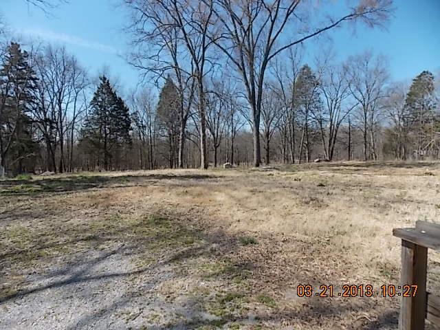1074 Rutledge Ln. Lebanon, TN 37087 - Photo 3 of 13 Deep back yard