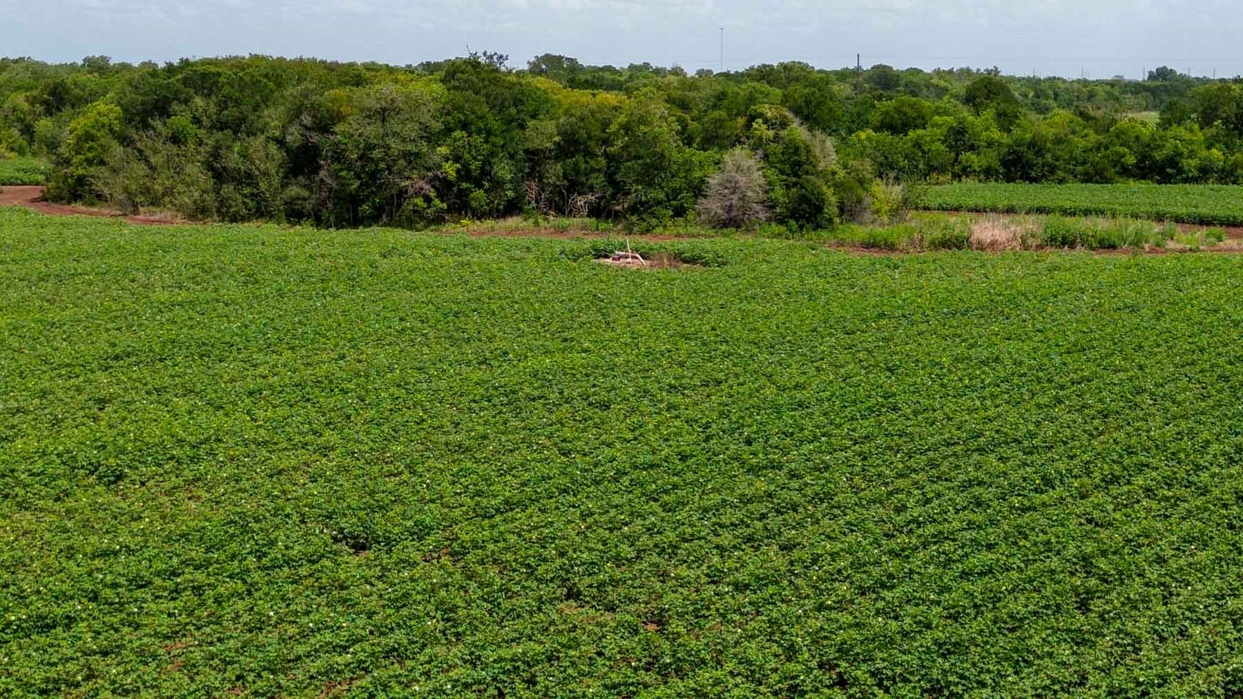 0 Sims Lane Bryan, TX 77807 - Photo 9 of 27