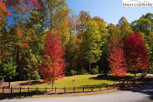 a view of yard with tree in front of it