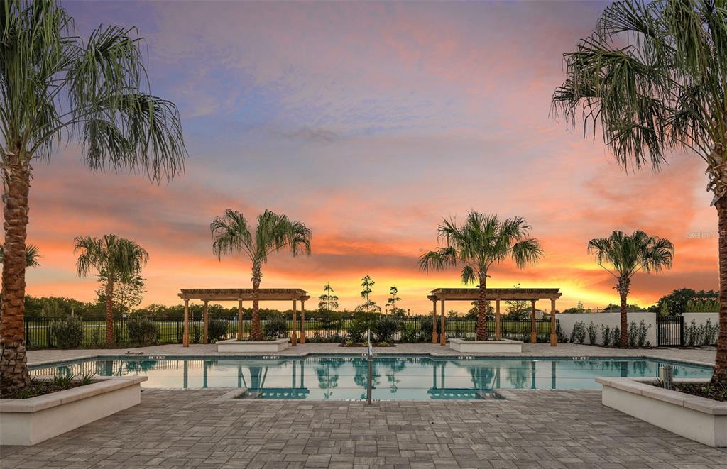 6283 Broad Fld Avenue Apollo Beach, FL 33572 - Photo 22 of 24 a view of lake with palm trees