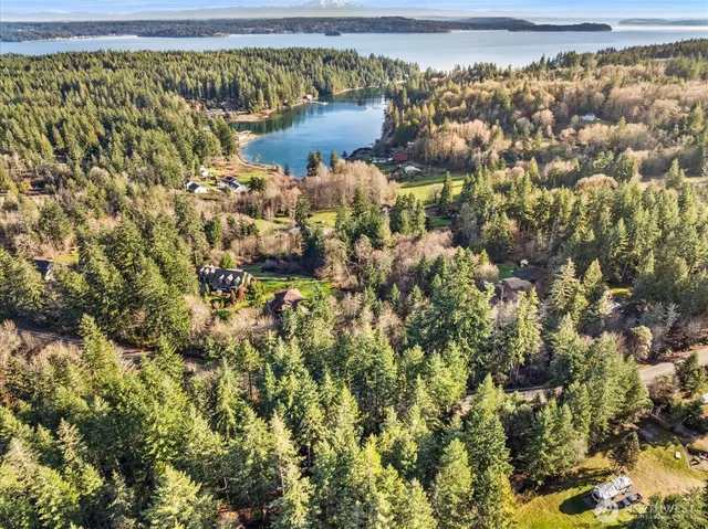 a backyard of a house with large trees