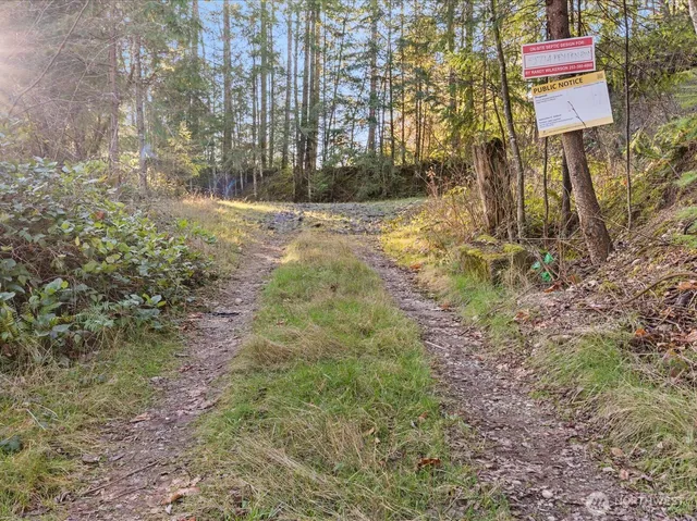 a view of a street with a yard