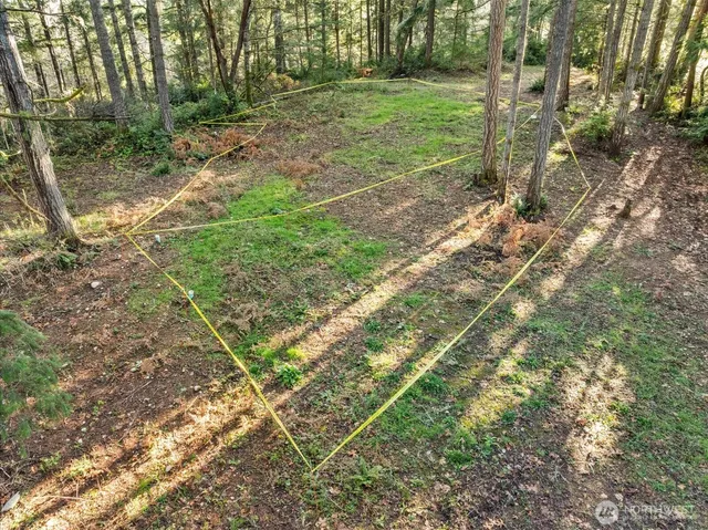 a view of backyard with green space