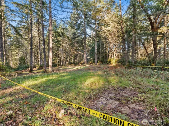 a plant view in yard