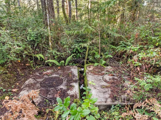 a backyard of a building with a lot of plants and flowers