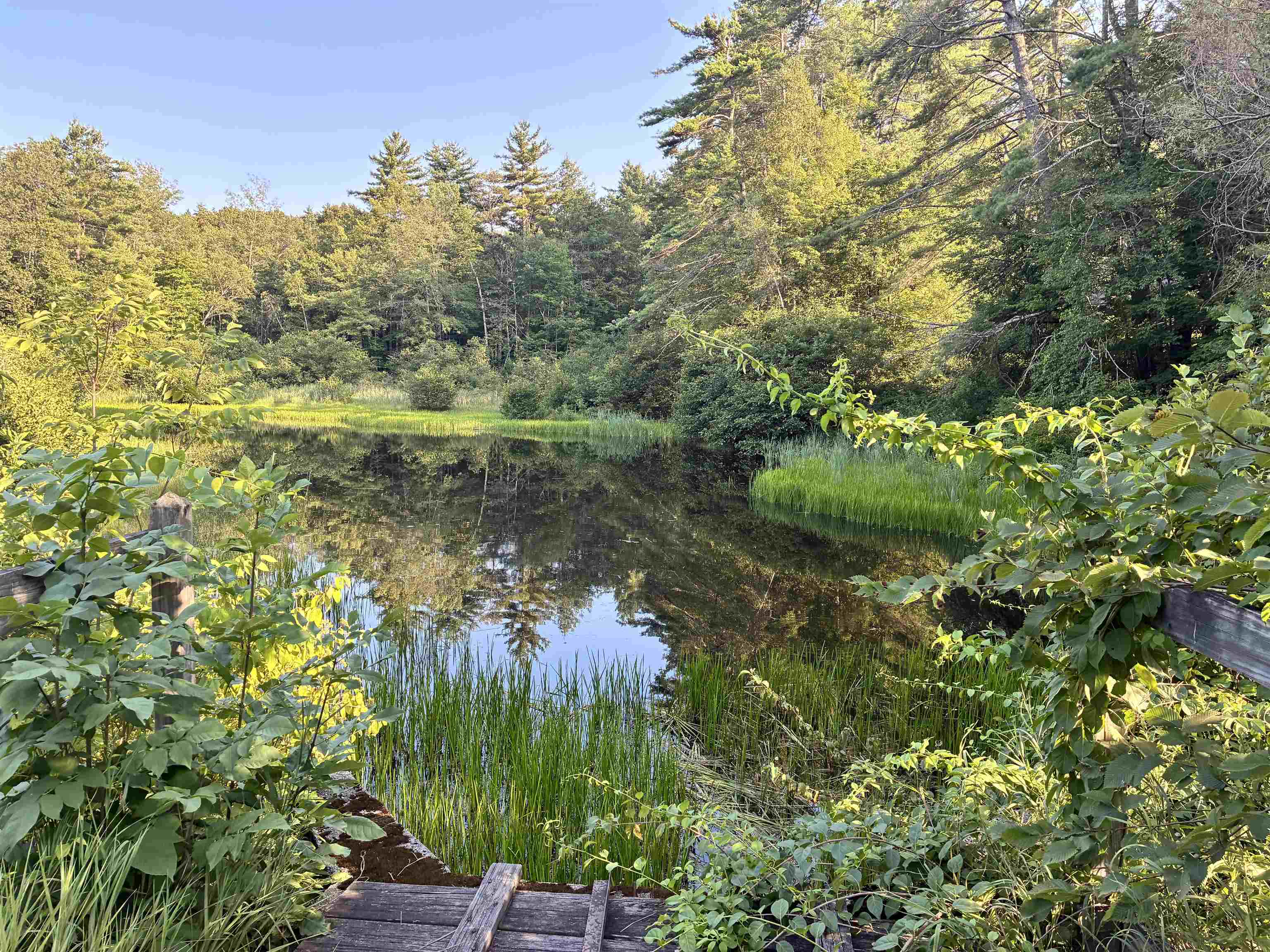 31 Water Street, Unit 5 Bradford, NH 03221 - Photo 31 of 35