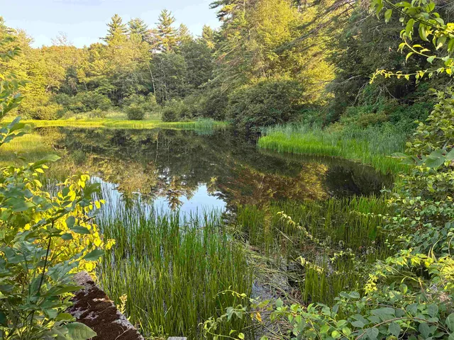 $2,199 | 31 Water Street, Unit 5, Bradford, NH 03221