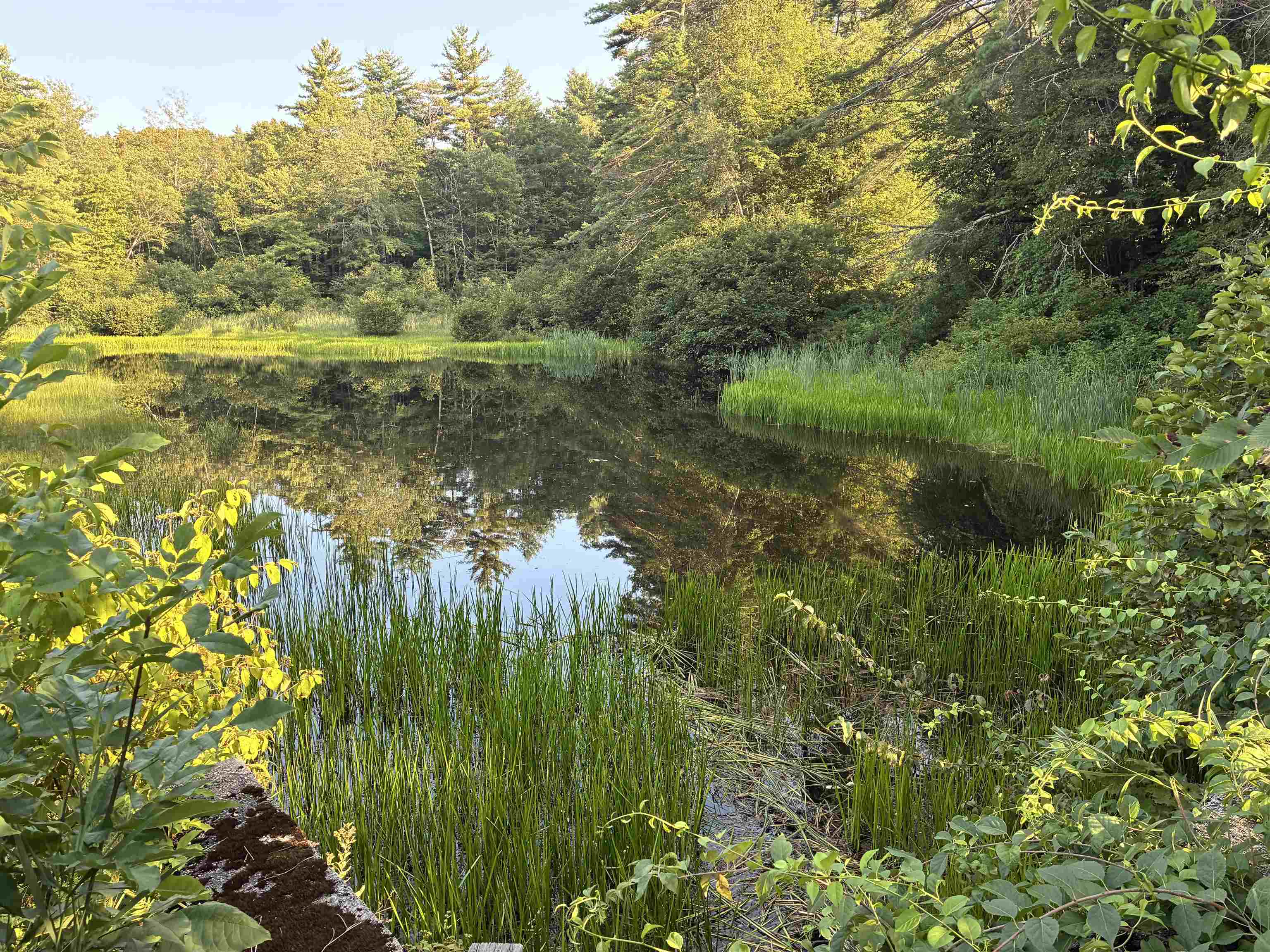 31 Water Street, Unit 5 Bradford, NH 03221 - Photo 32 of 35