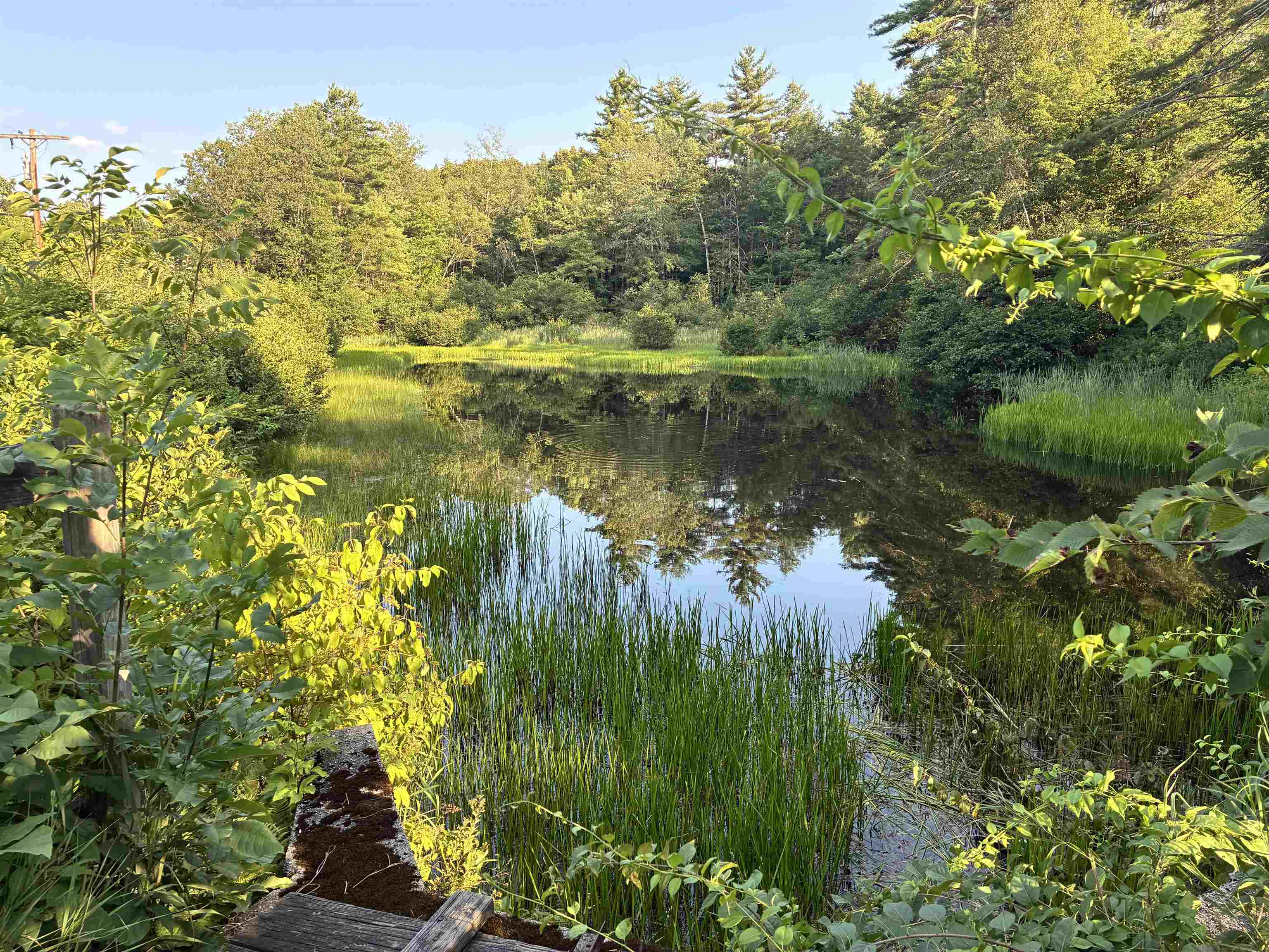 31 Water Street, Unit 5 Bradford, NH 03221 - Photo 35 of 35