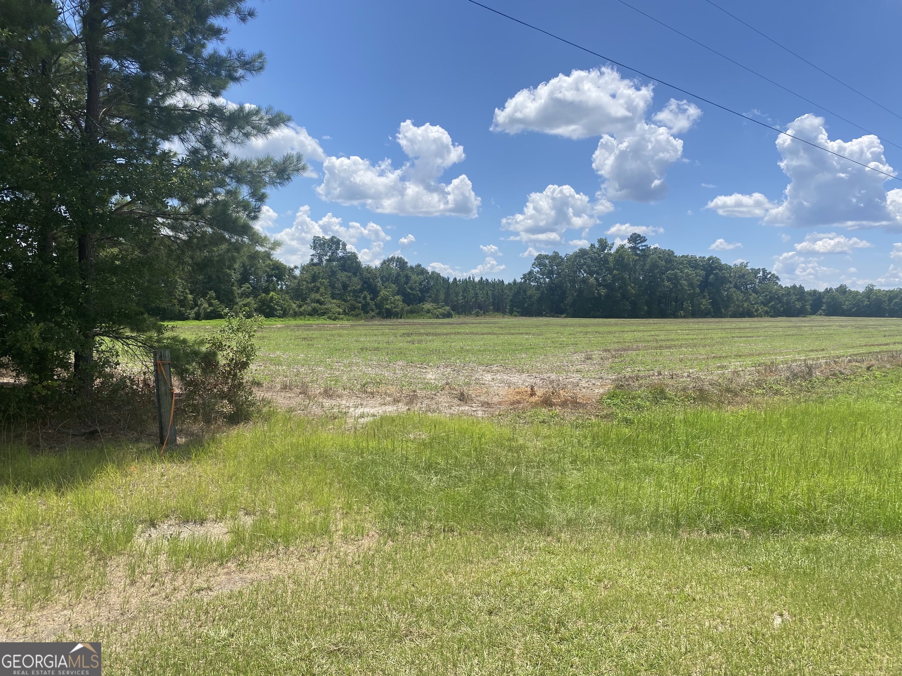 4848 Holmesville Road Jesup, GA 31545 - Photo 4 of 5