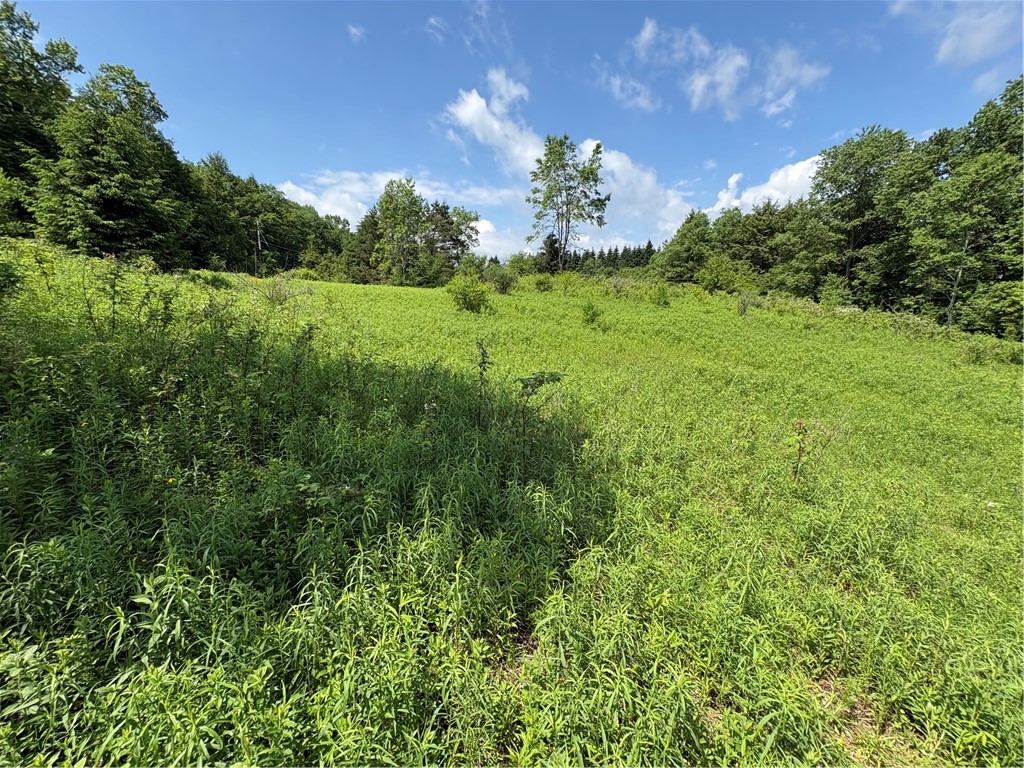 Stage Road South Otselic, NY 13155 - Photo 22 of 29